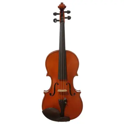 4/4 Italian Violin, Albanelli, 1973