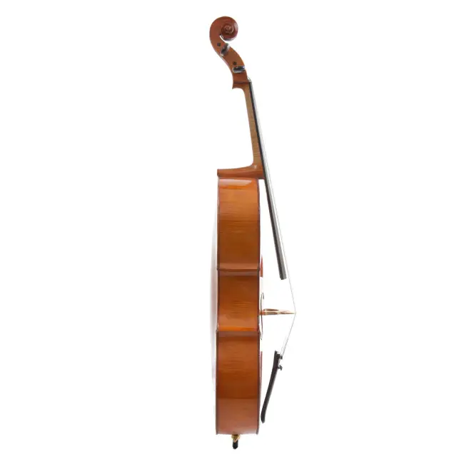  - Image 2