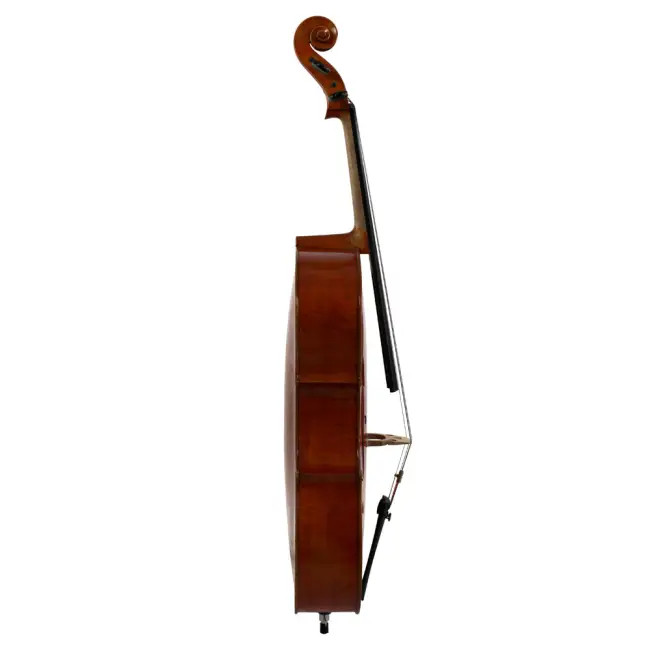  - Image 2