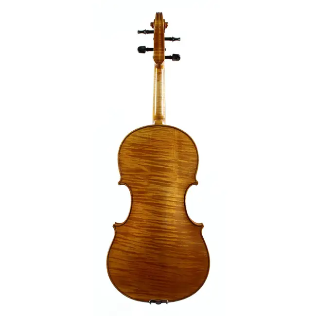  - Image 7