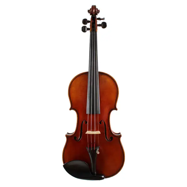 4/4 Irish Violin, by Richard Guiton, 1893 - Cover Image