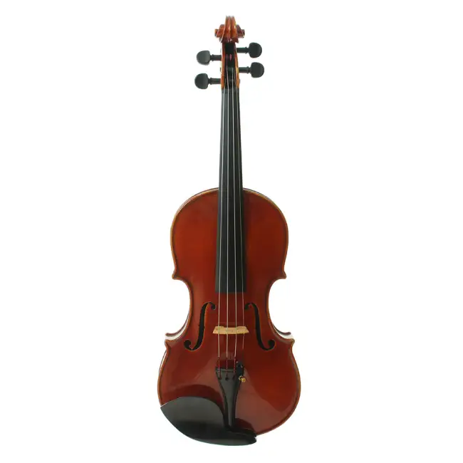 4/4 Italian Violin By Carletti - Cover Image