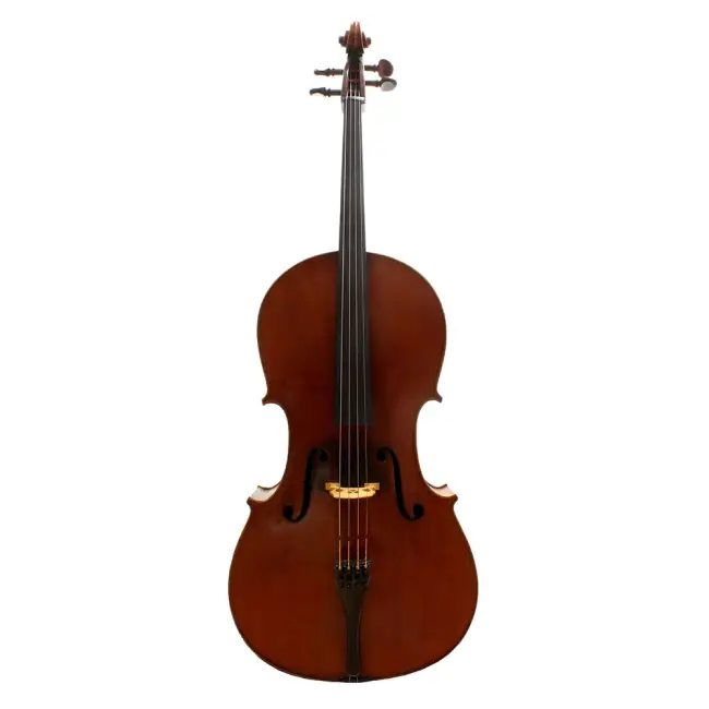 4/4 German Violoncello, C1880, Markneukirchen - Cover Image