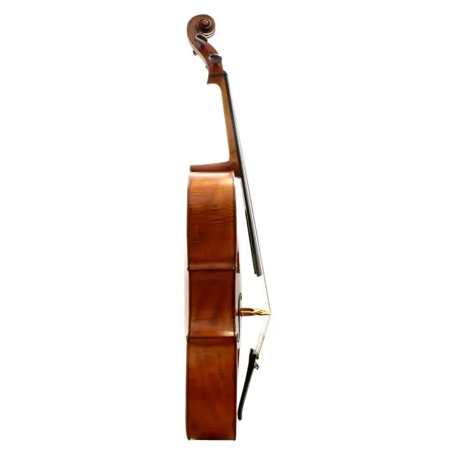  - Image 2
