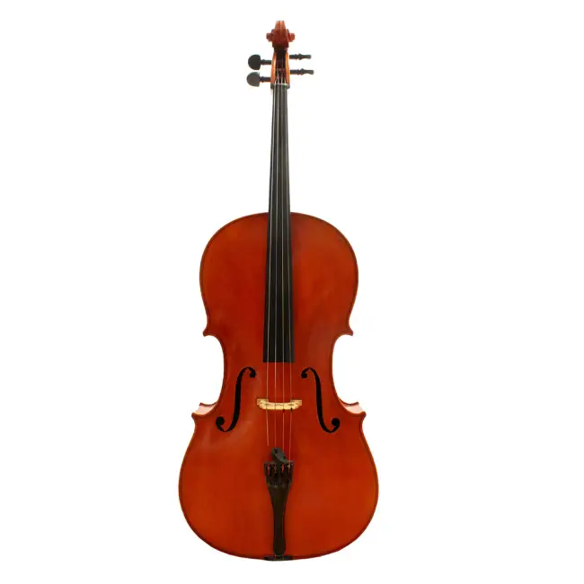 4/4 Italian Violoncello, labelled Leandro Bisiach - Cover Image