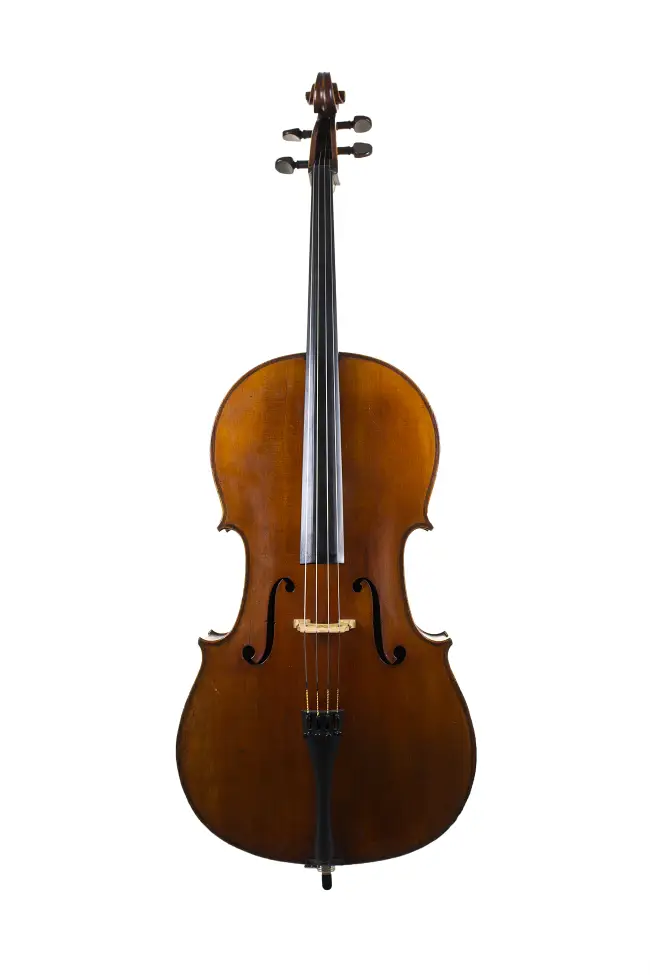 4/4 French Violoncello by and labelled Geronimo Barnabetti, c1880 - Cover Image