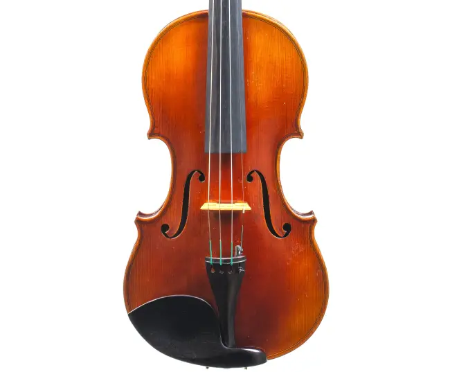  - Image 7