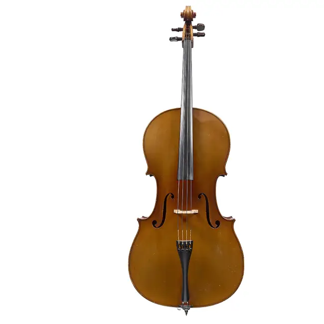 4/4 French Violoncello by and labelled A Acoulon for Jerome Thibouville Lamy, 1919, no.1. - Cover Image