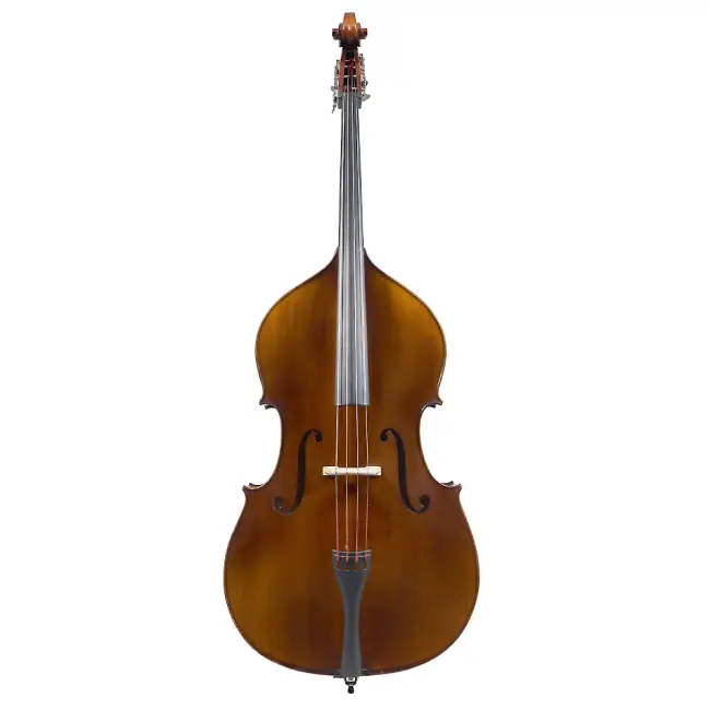 3/4 Modern Romanian Double Bass made especially for Thwaites, Violin outline, Swell Back - Cover Image