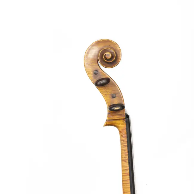  - Image 3