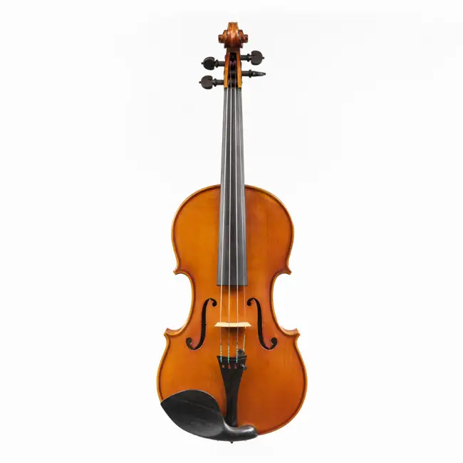4/4 Italian Violin, from the Gadda Workshop, 1986 - Cover Image