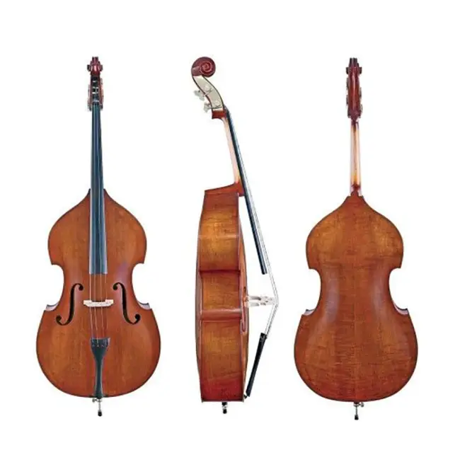 Student Double Basses - Cover Image
