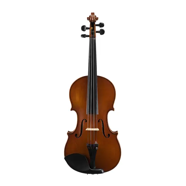 4/4 German Violin Labelled Albert Gotz 1928 - Cover Image