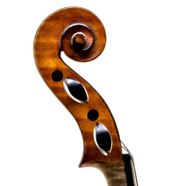  - Image 7