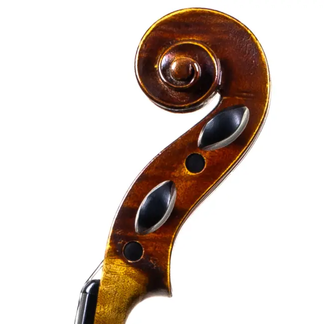  - Image 7