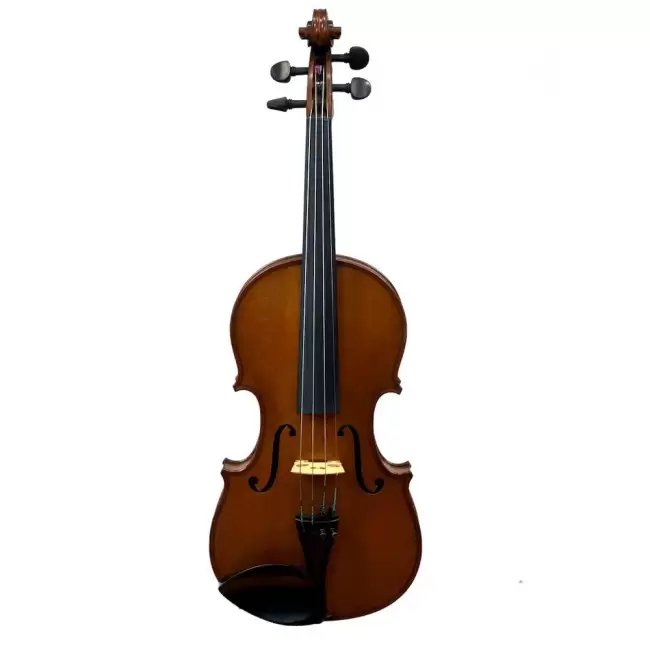 4/4 French Violin By and Labelled Collin-Mezin - Cover Image