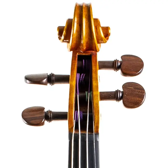  - Image 7