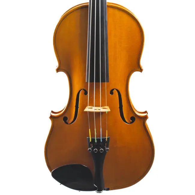  - Image 8
