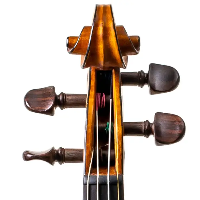  - Image 5