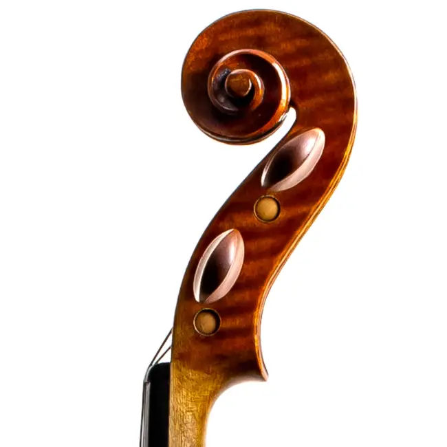  - Image 7