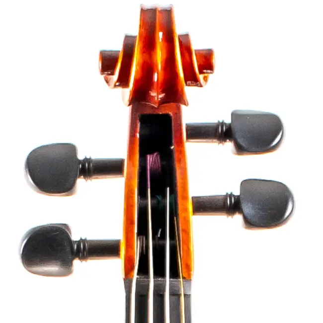  - Image 2
