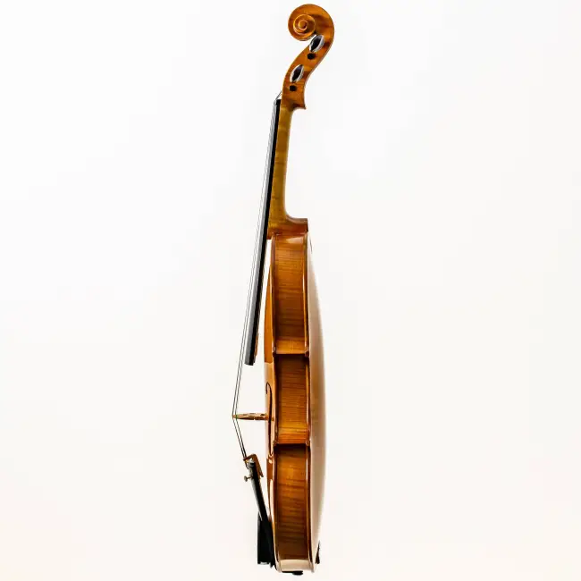  - Image 6