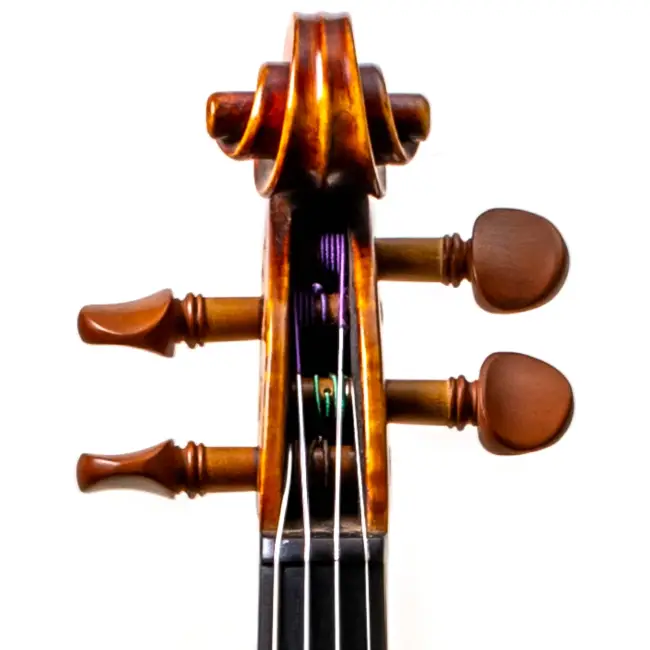  - Image 7