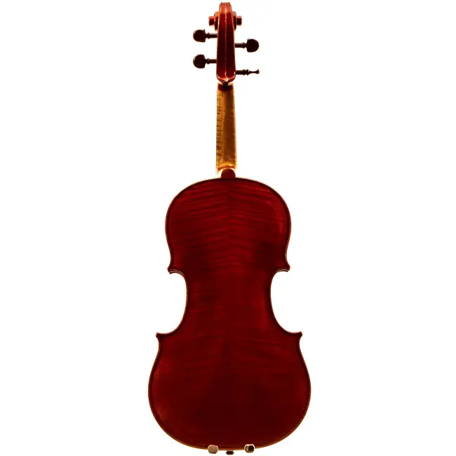  - Image 5