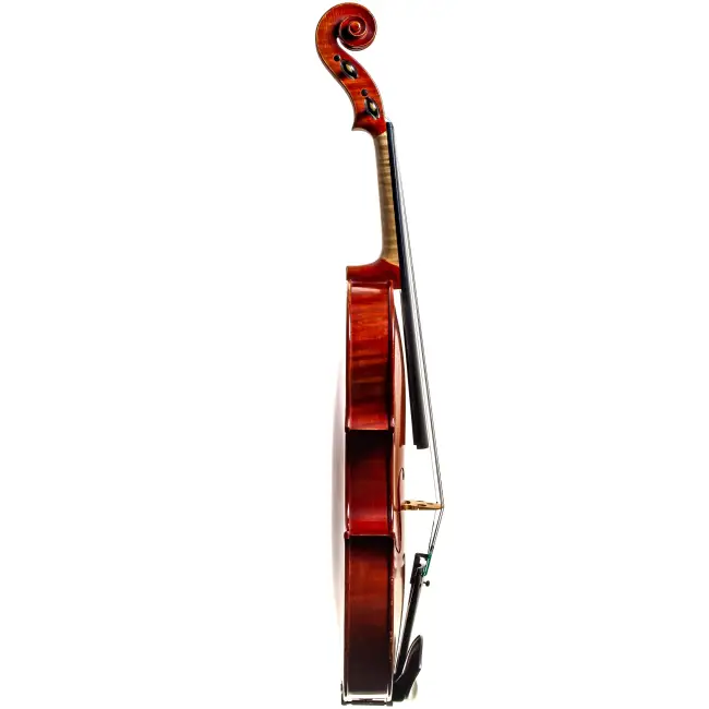  - Image 7