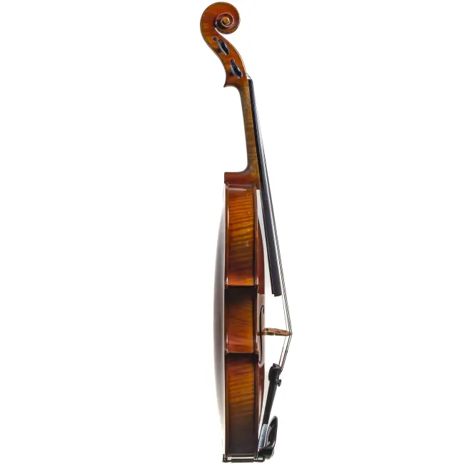  - Image 7