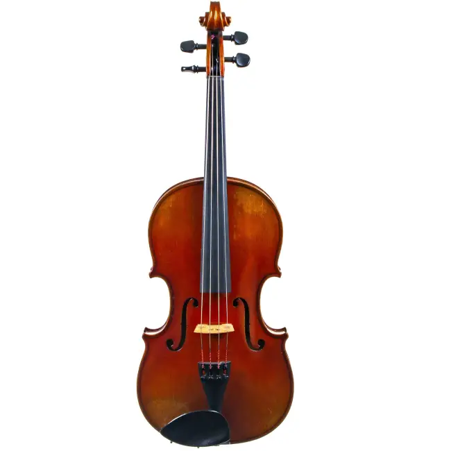 Viola by Henri Delille  - Cover Image
