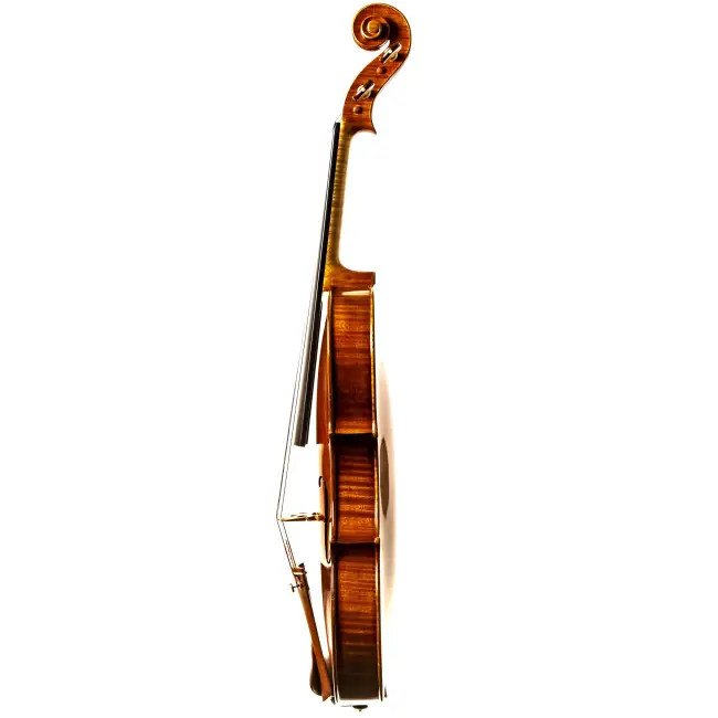  - Image 7