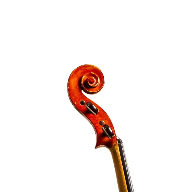  - Image 5