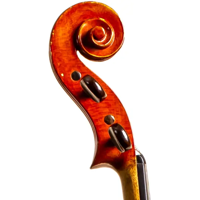  - Image 5