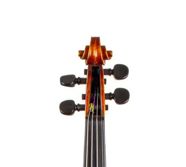  - Image 6