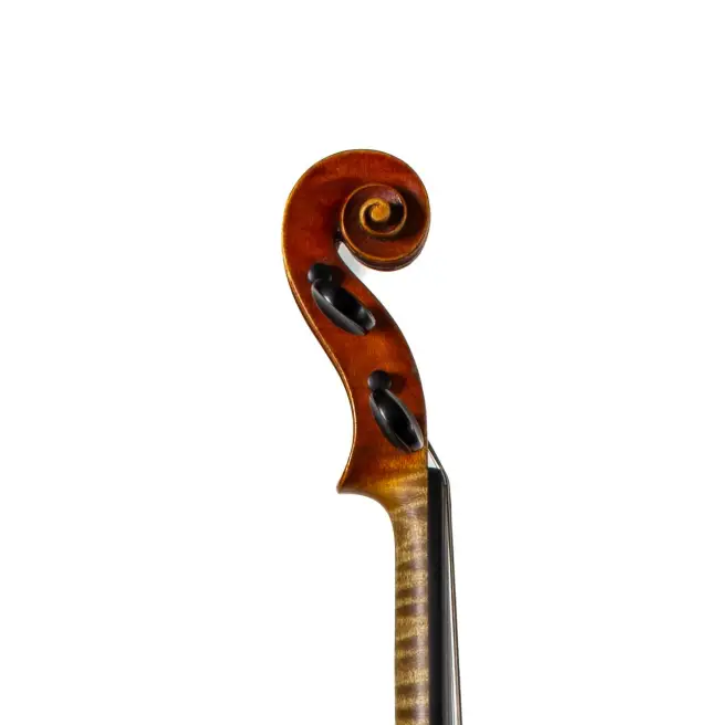  - Image 7