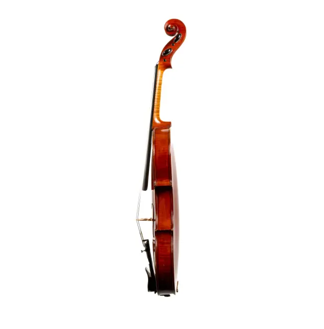  - Image 7