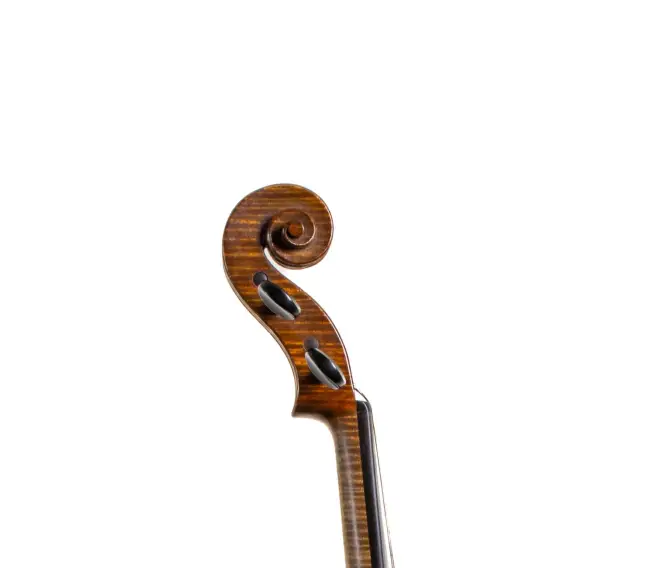  - Image 6