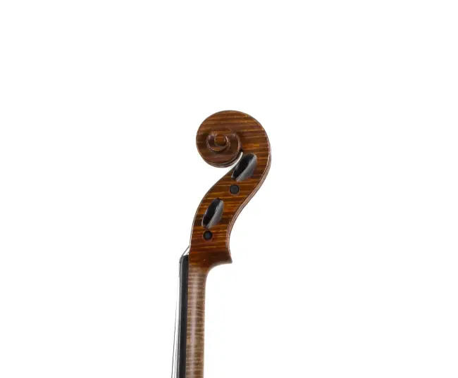  - Image 7