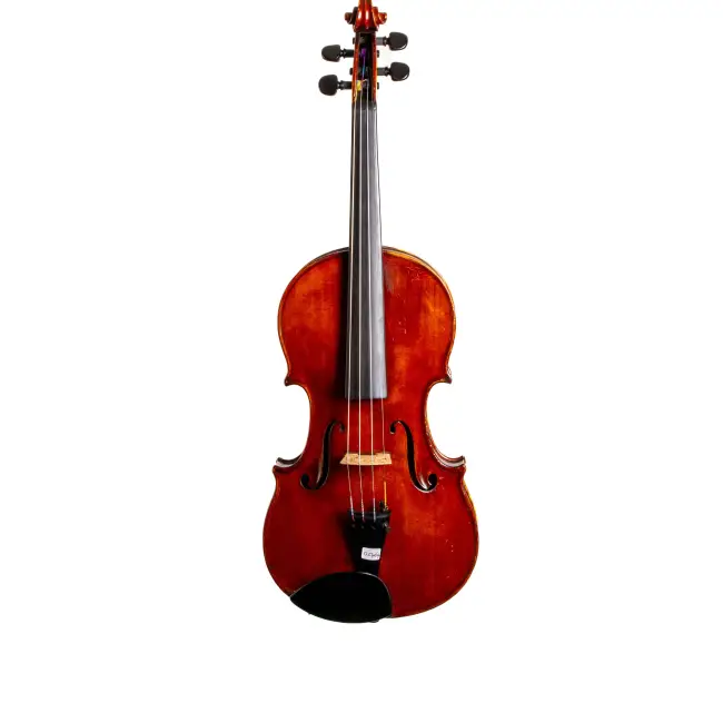 4/4 Violin by Luigi Salsedo - Cover Image