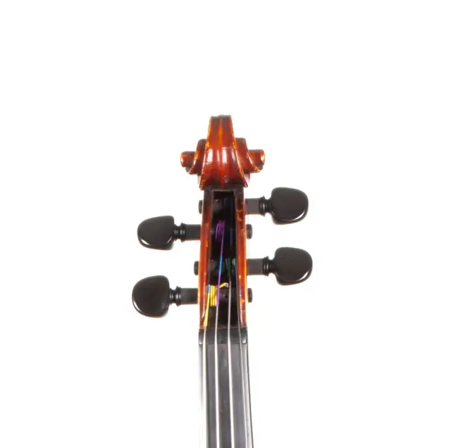  - Image 5