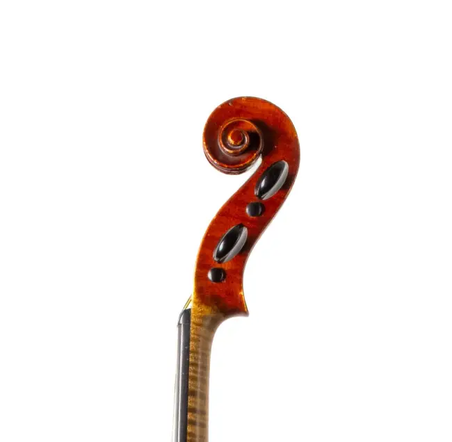  - Image 7