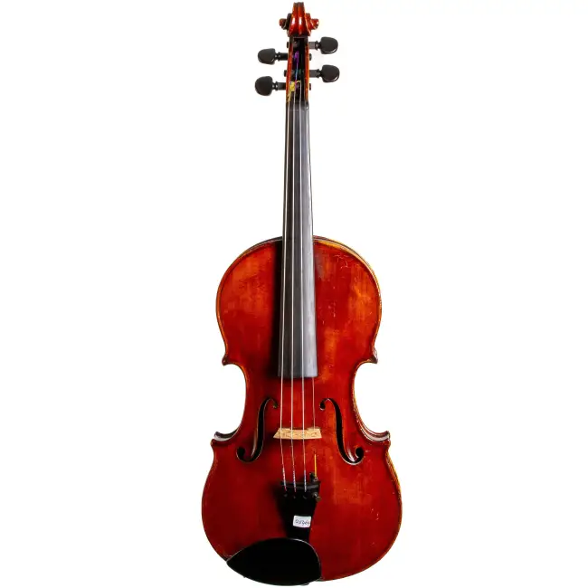 4/4 Violin by Luigi Salsedo - Cover Image