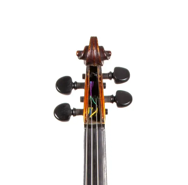  - Image 5
