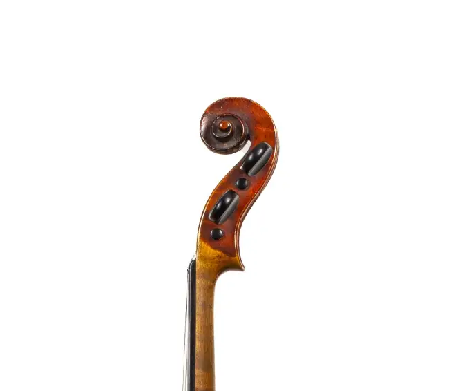  - Image 7