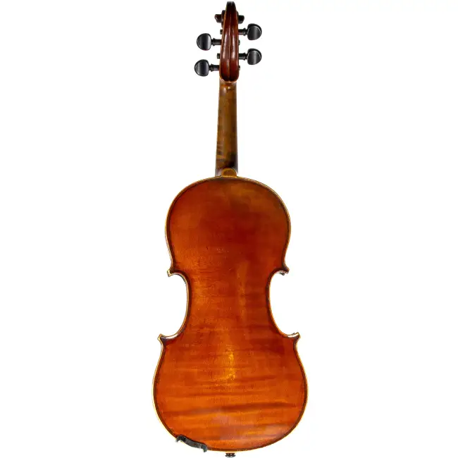  - Image 7
