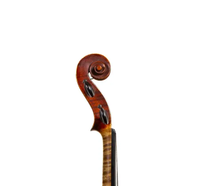  - Image 7