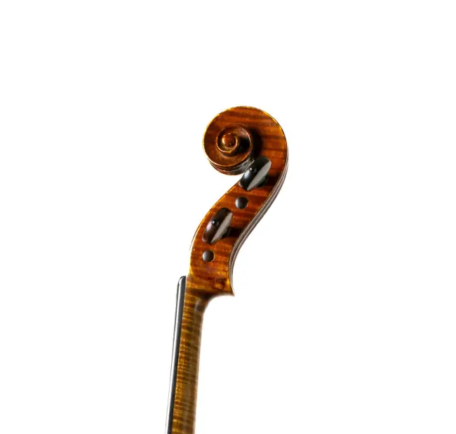  - Image 6