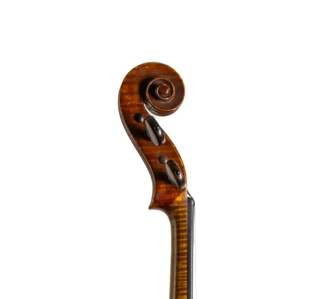  - Image 7