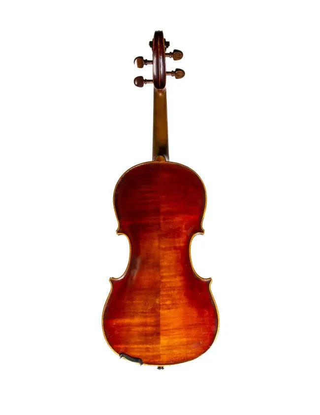  - Image 2